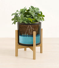 Load image into Gallery viewer, Black stand:bamboo
