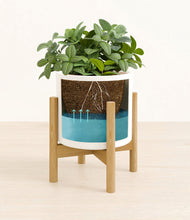 Load image into Gallery viewer, White stand:bamboo
