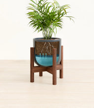 Load image into Gallery viewer, Iron Gray stand:walnut
