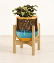 Load image into Gallery viewer, Mustard stand:bamboo
