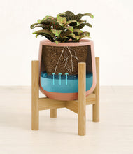 Load image into Gallery viewer, Calm Rose stand:bamboo
