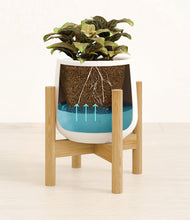 Load image into Gallery viewer, White stand:bamboo
