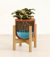 Load image into Gallery viewer, Glossy Red stand:bamboo
