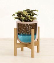 Load image into Gallery viewer, Sandy Pink stand:bamboo
