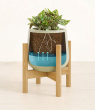 Load image into Gallery viewer, Turquoise stand:bamboo
