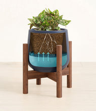 Load image into Gallery viewer, Deep Navy stand:walnut
