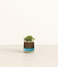 Load image into Gallery viewer, -
