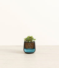 Load image into Gallery viewer, -
