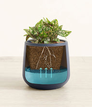 Load image into Gallery viewer, Deep Navy
