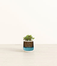 Load image into Gallery viewer, -
