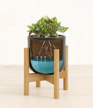 Load image into Gallery viewer, Stone Black stand:bamboo
