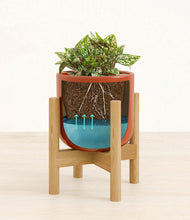 Load image into Gallery viewer, Glossy Red stand:bamboo
