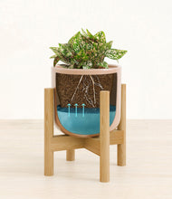 Load image into Gallery viewer, Glossy Pink stand:bamboo
