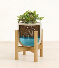 Load image into Gallery viewer, Sage Green stand:bamboo
