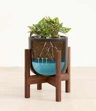 Load image into Gallery viewer, Stone Black stand:walnut
