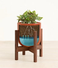 Load image into Gallery viewer, Glossy Red stand:walnut
