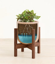 Load image into Gallery viewer, Glossy Pink stand:walnut
