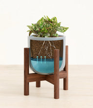 Load image into Gallery viewer, Misty Blue stand:walnut
