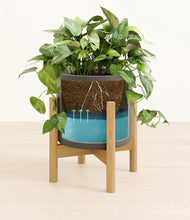 Load image into Gallery viewer, Dark Olive stand:bamboo
