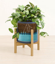 Load image into Gallery viewer, Deep Navy stand:bamboo
