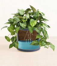 Load image into Gallery viewer, Deep Navy
