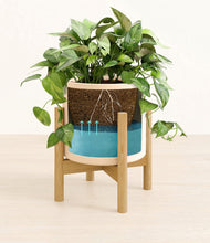 Load image into Gallery viewer, Cream stand:bamboo
