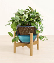 Load image into Gallery viewer, Deep Navy stand:bamboo
