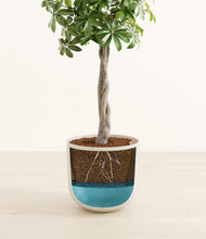 Load image into Gallery viewer, Natural Bamboo
