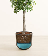 Load image into Gallery viewer, Stone Black
