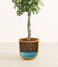 Load image into Gallery viewer, Sunset Orange
