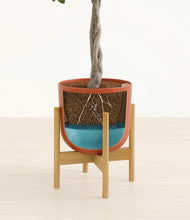 Load image into Gallery viewer, Earth Red stand:bamboo
