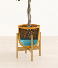 Load image into Gallery viewer, Sunset Orange stand:bamboo
