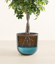 Load image into Gallery viewer, Iron Gray
