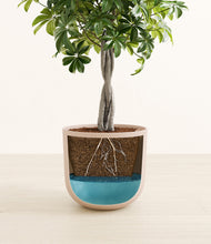 Load image into Gallery viewer, Sandy Pink
