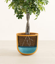 Load image into Gallery viewer, Form Large Sunset Orange
