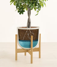 Load image into Gallery viewer, Natural Bamboo stand:bamboo
