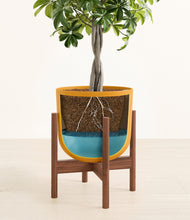 Load image into Gallery viewer, Sunset Orange stand:walnut
