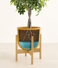 Load image into Gallery viewer, Sunset Orange stand:bamboo
