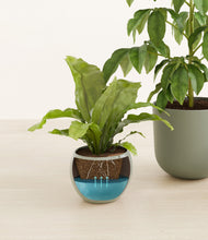 Load image into Gallery viewer, Earthy
