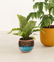 Load image into Gallery viewer, Evening Sky
