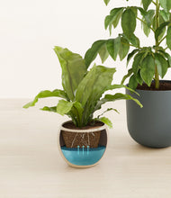 Load image into Gallery viewer, Summer Mist
