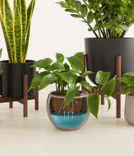 Load image into Gallery viewer, Charcoal stand:two_stands
