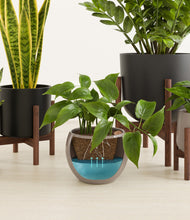 Load image into Gallery viewer, Charcoal stand:three_stands
