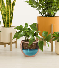 Load image into Gallery viewer, Evening Sky stand:two_stands
