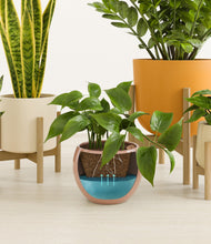 Load image into Gallery viewer, Evening Sky stand:three_stands
