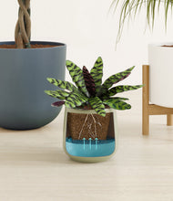 Load image into Gallery viewer, Earthy stand:one_stand
