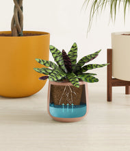 Load image into Gallery viewer, Evening Sky stand:one_stand
