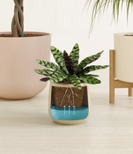 Load image into Gallery viewer, Sandy stand:one_stand
