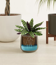 Load image into Gallery viewer, Woodland stand:one_stand
