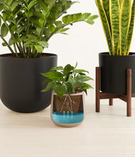 Load image into Gallery viewer, Charcoal stand:one_stand
